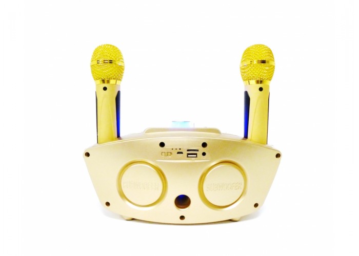 Караоке Колонка OWL SDRD SD-306 с радиомикрофонами и Bluetooth pink
