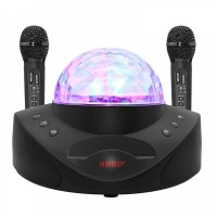 Караоке система на два микрофона с LED Диско-шаром SDRD SD-308 black